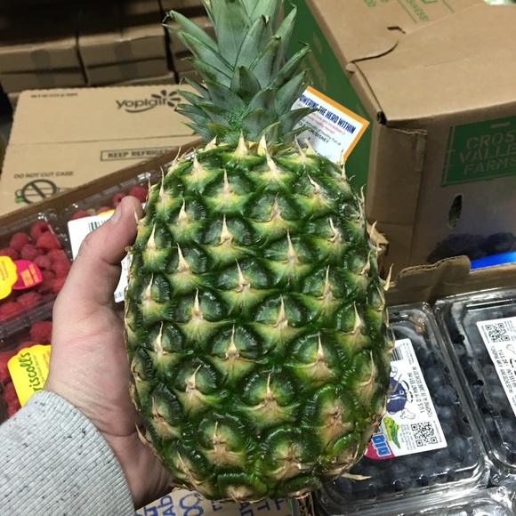 Meet your Posher, Jjosh - Picture 1 of 1